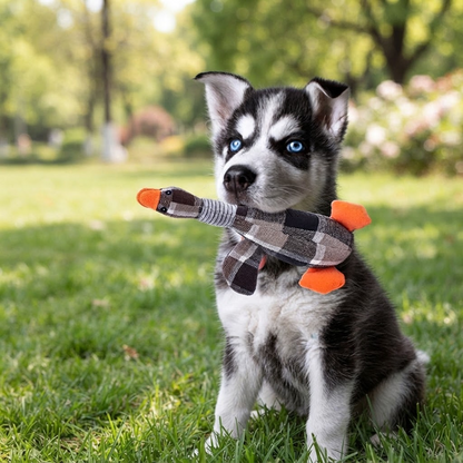 Custom Embroidered Name Dog Toy