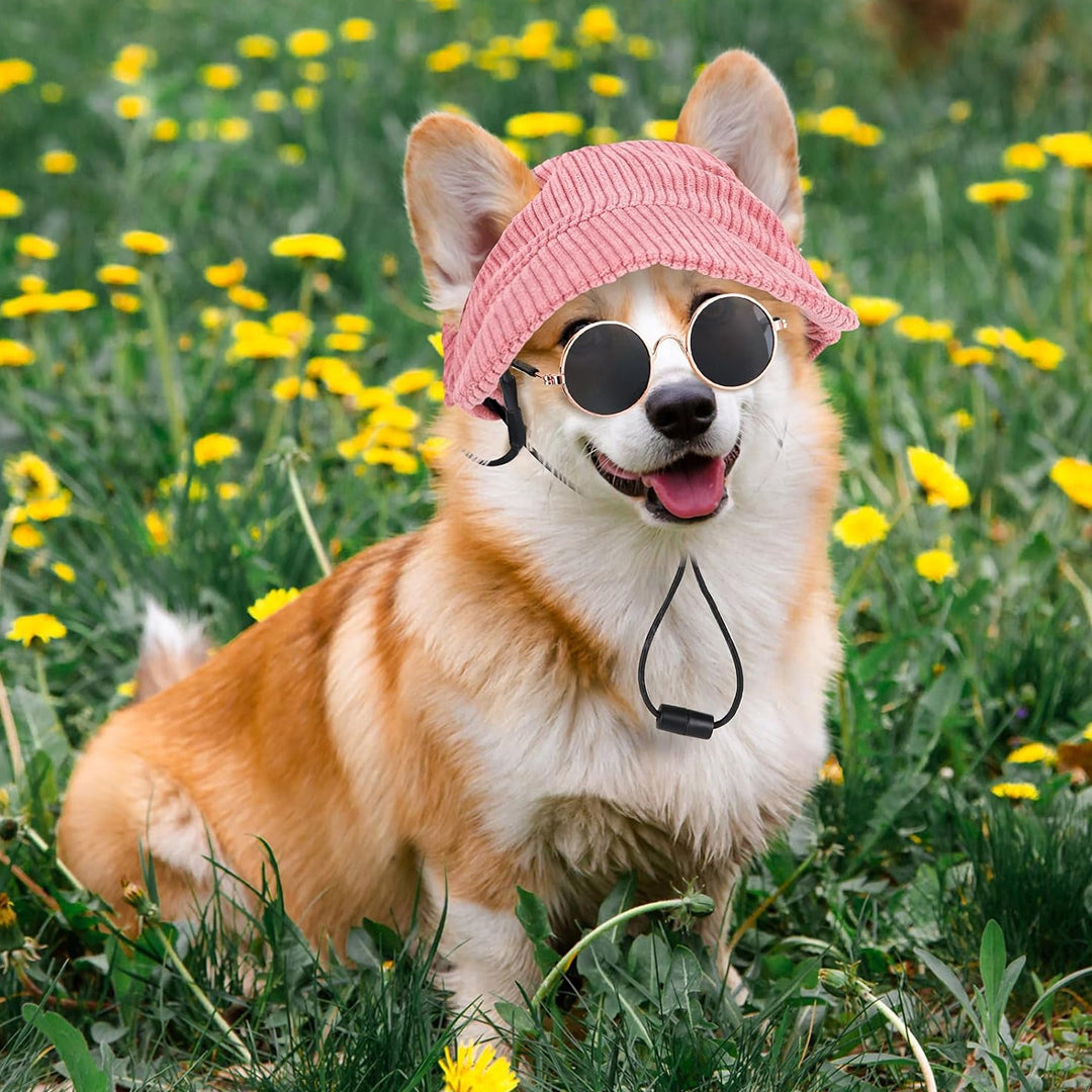 Creative and Trendy Pet Glasses