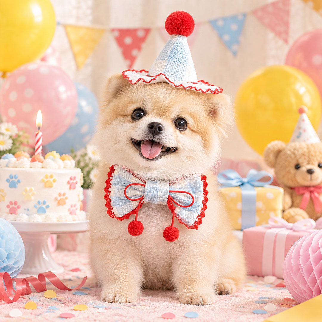 Pet Birthday Party Hat & Bow Tie
