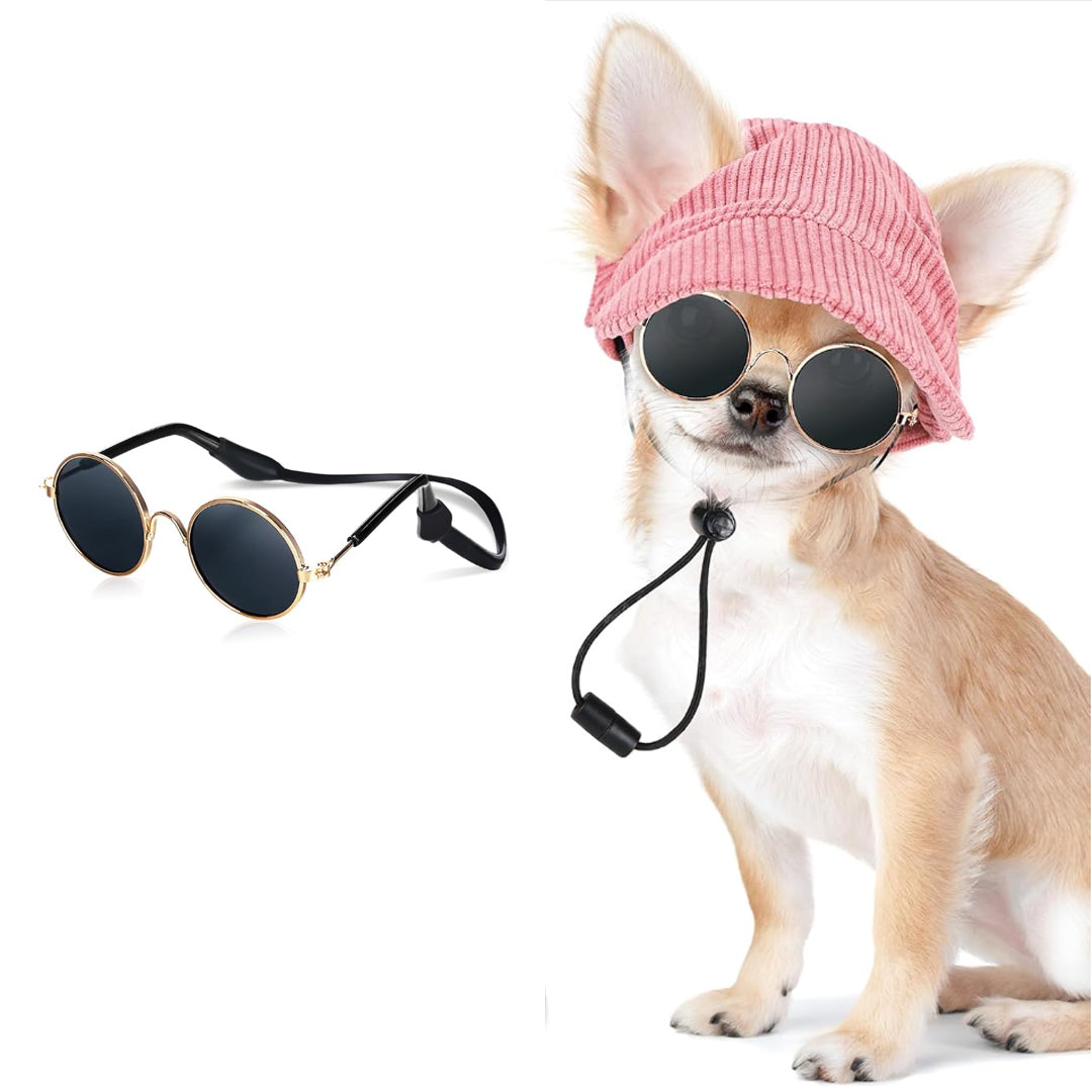 Creative and Trendy Pet Glasses