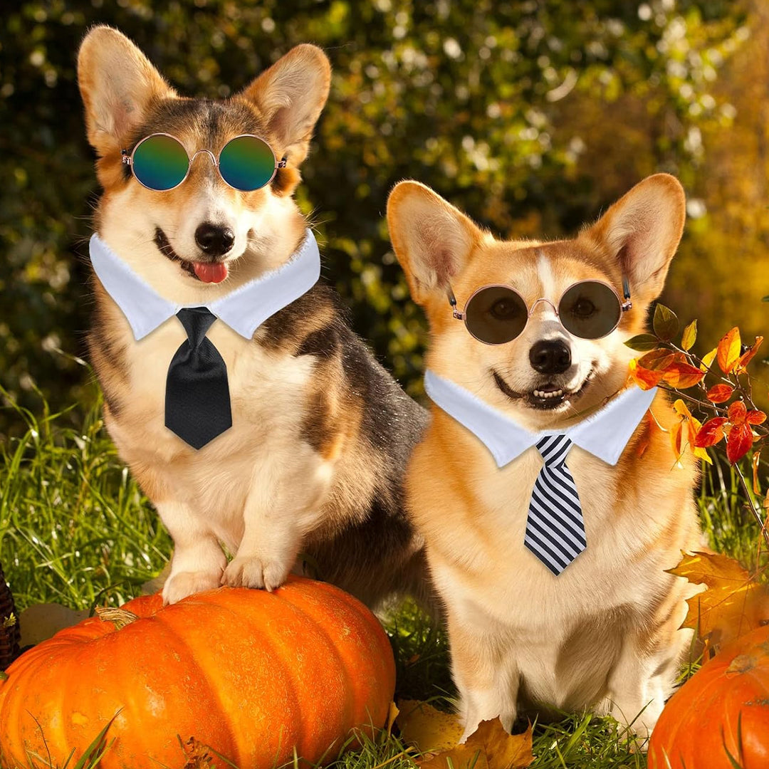 Creative and Trendy Pet Glasses