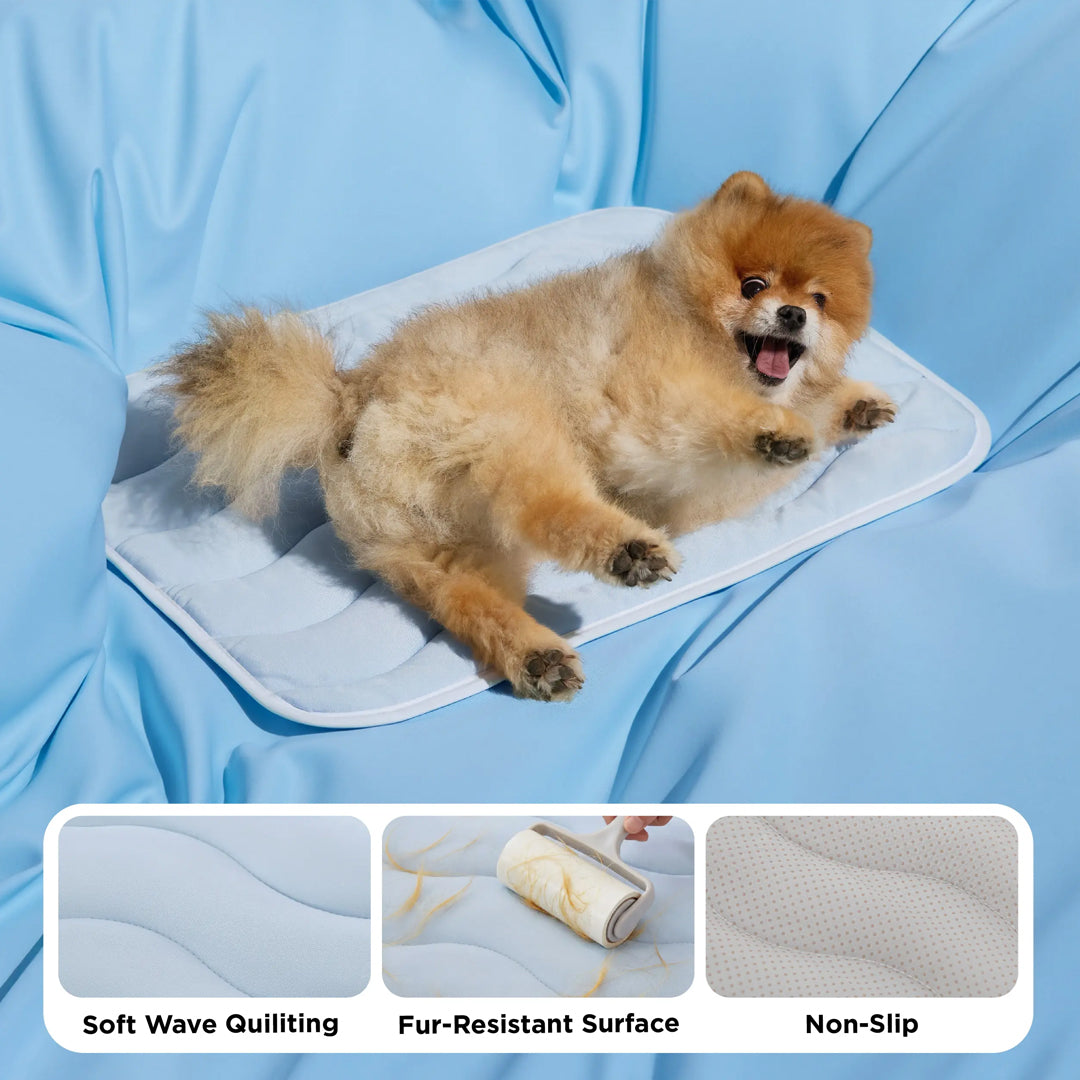 Personalized Pet Cooling Mat