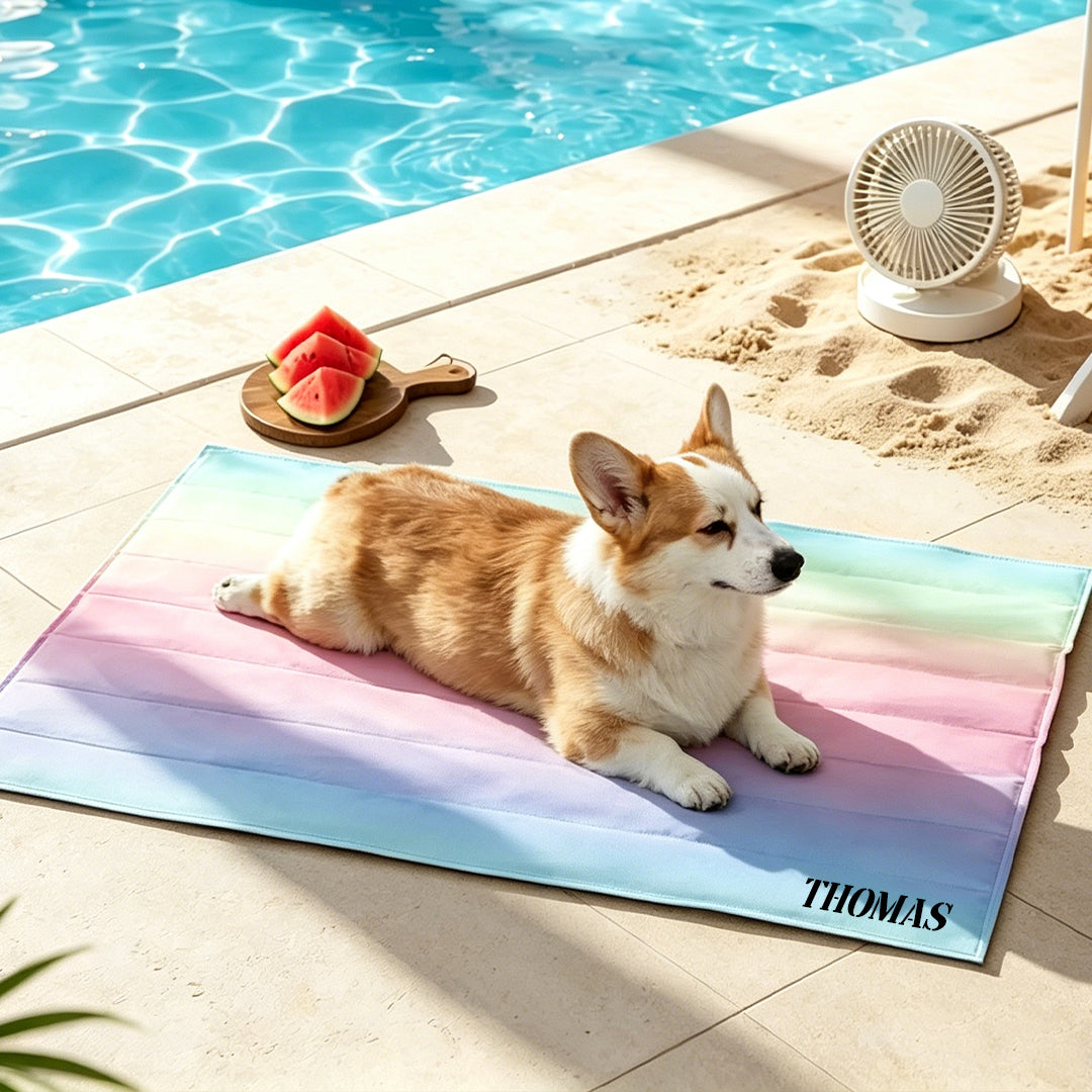 Custom Rainbow Pet Cooling Mat