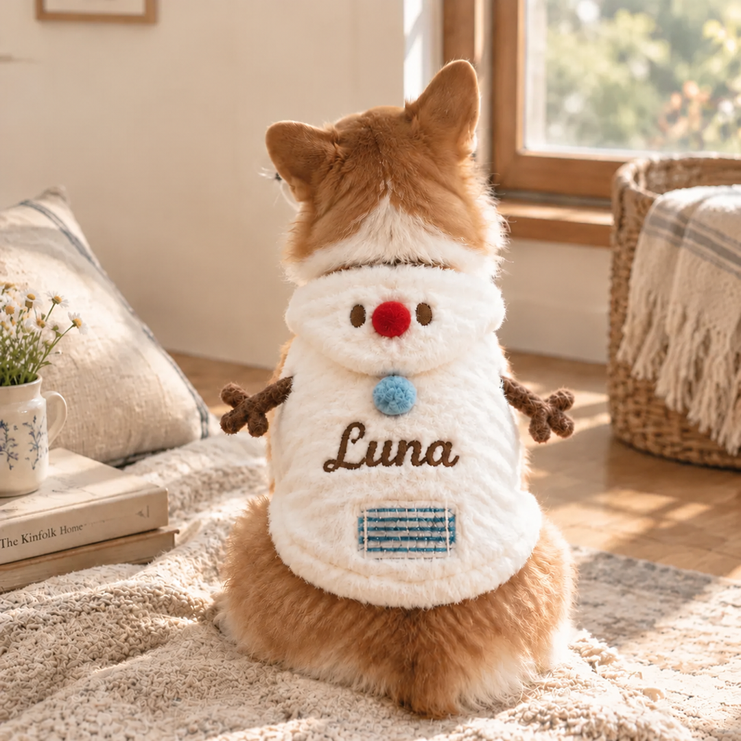 Personalized Snowman Christmas Pet Costume