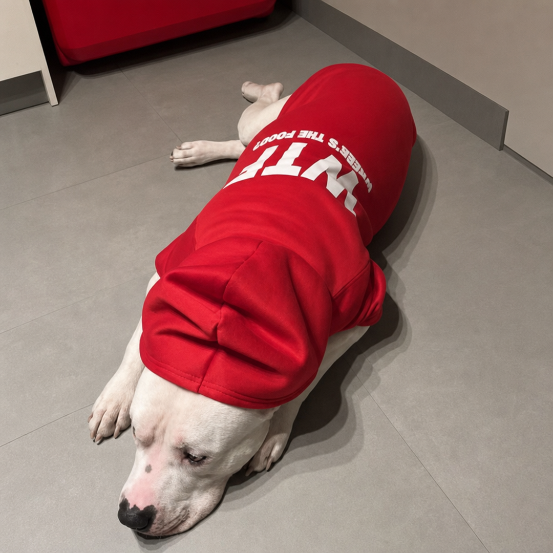 Puptailor “WTF” Pet Hoodie