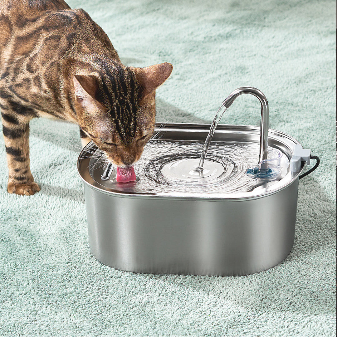 Stainless Steel Pet Water Fountain
