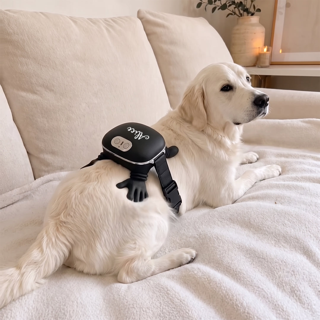 Personalized Soothing Dog Massager