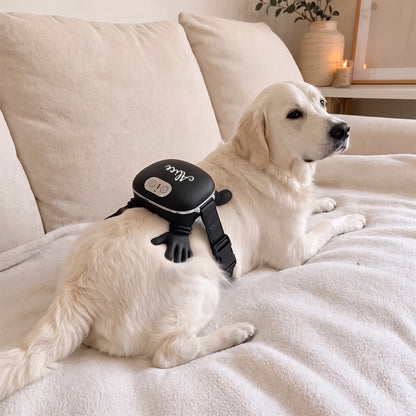 Personalized Soothing Dog Massager