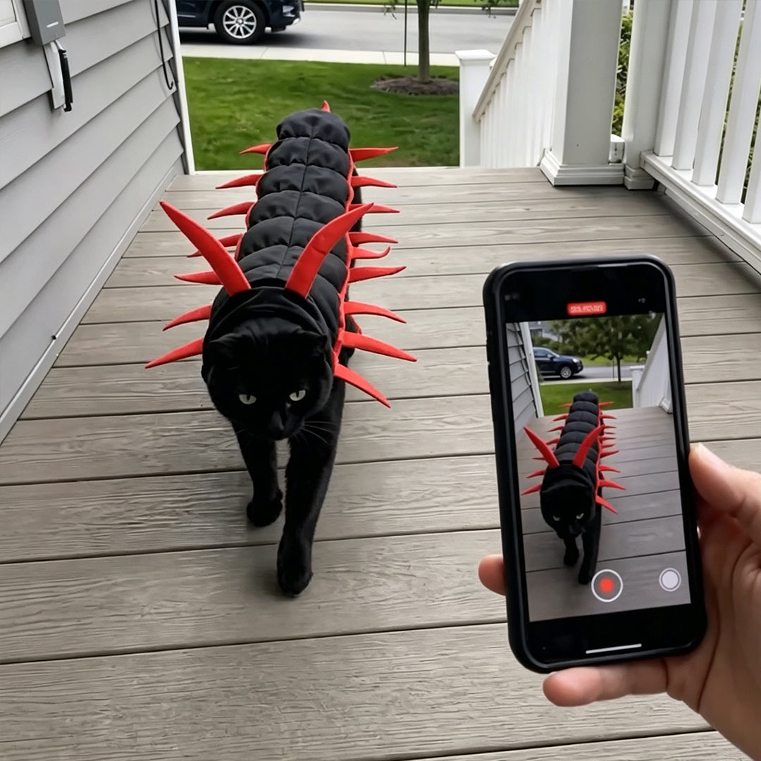 Cat Centipede Costume for Halloween