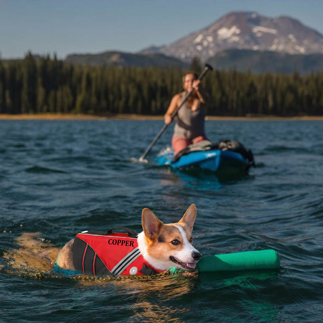 Personalized Dog Life Jacket