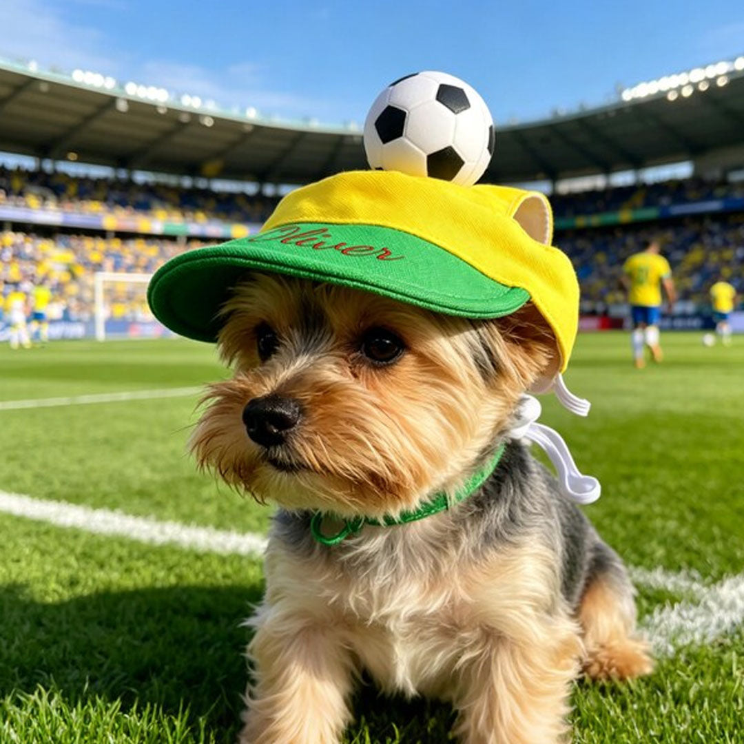Personalized Custom Pet Hat With Football