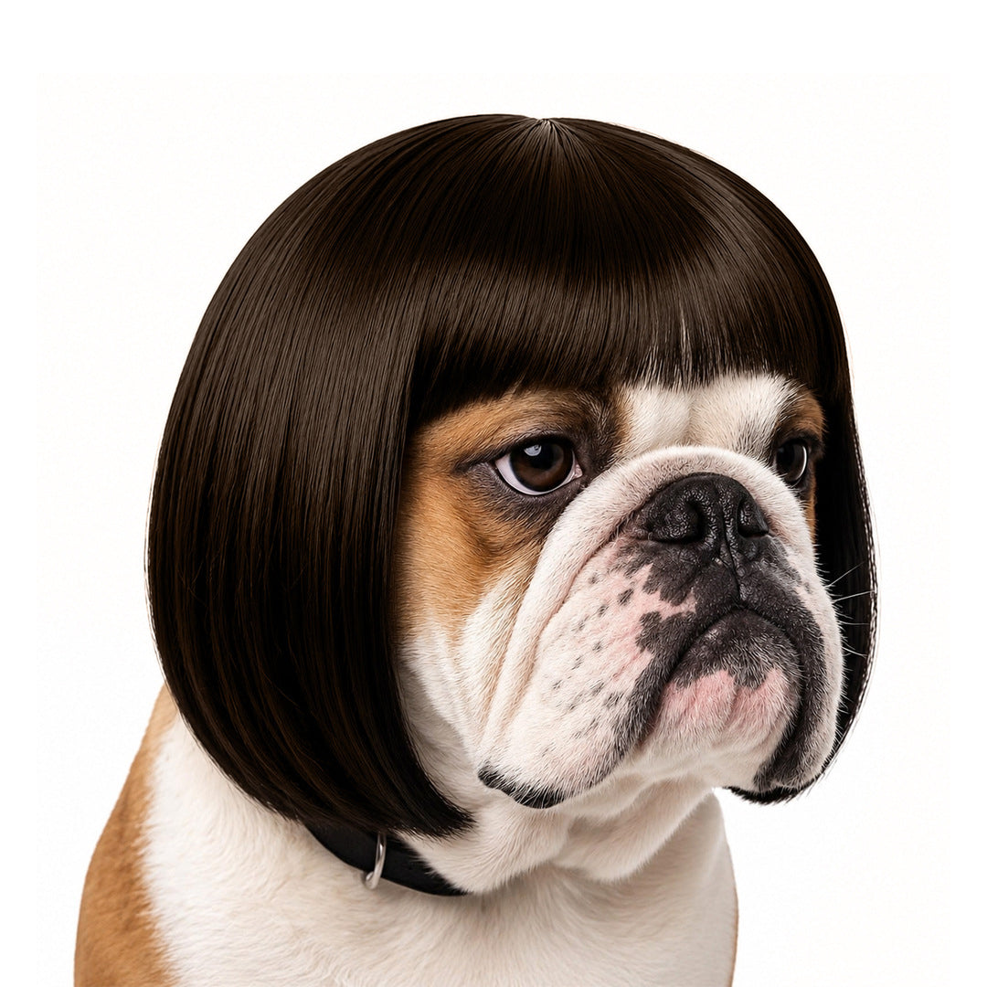Funny Dog Wigs — Adjustable Pet Costume Hair