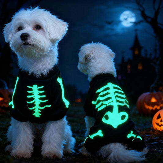Puptailor Halloween Pet Costume with Glow-in-the-dark