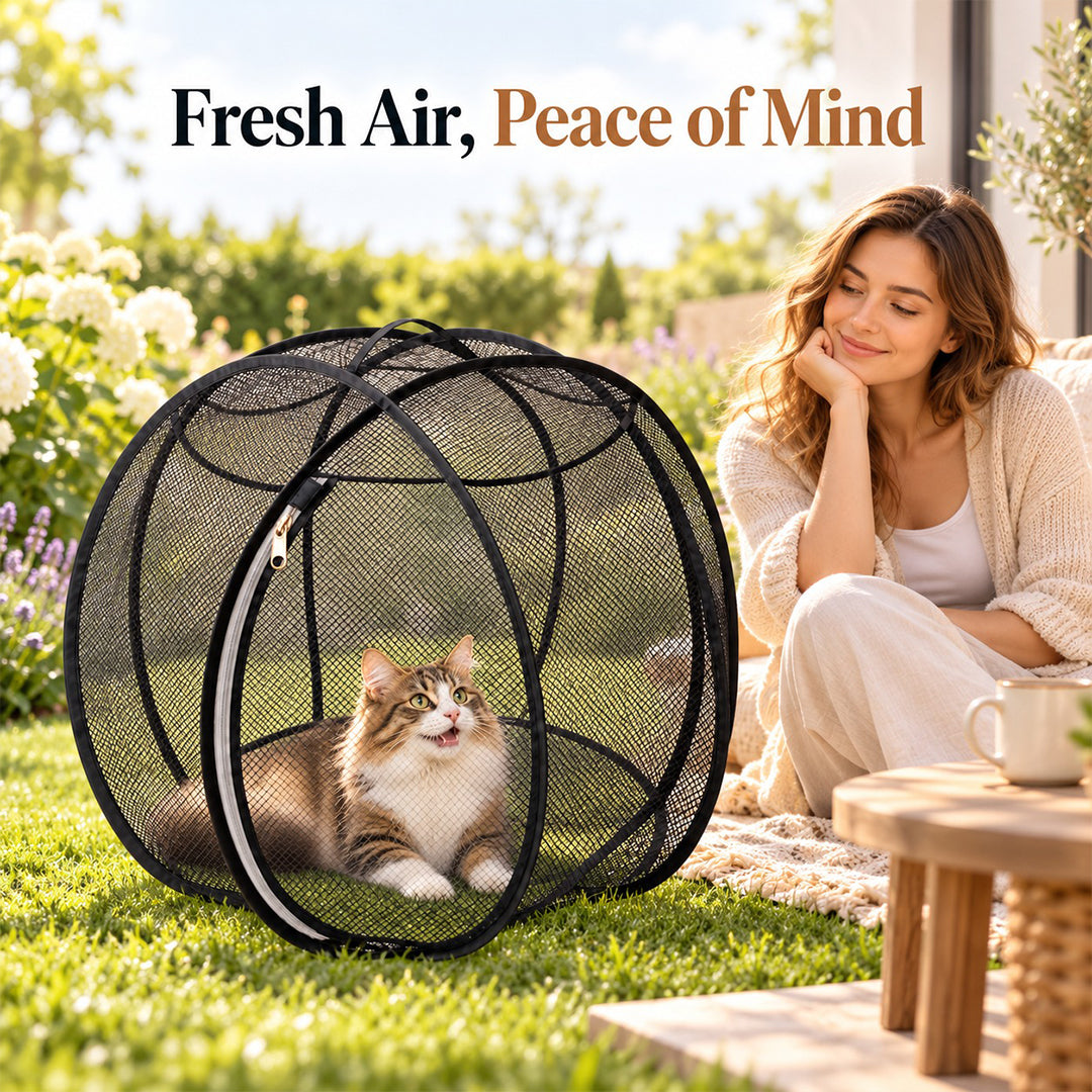 Collapsible Mesh Cat Playpen