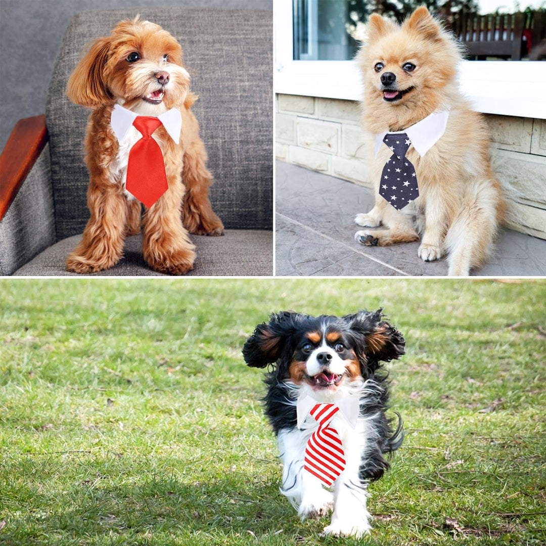 Neck Tie with White Collar for Pet