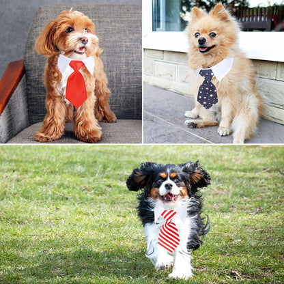 Neck Tie with White Collar for Pet
