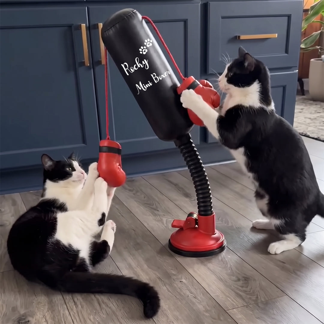Personalized Mini Cat Boxing Toy
