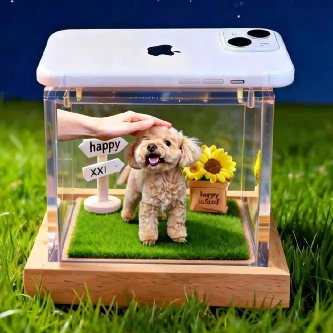 Custom Pet Holographic Memorial Box