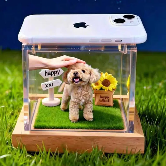 Custom Pet Holographic Memorial Box