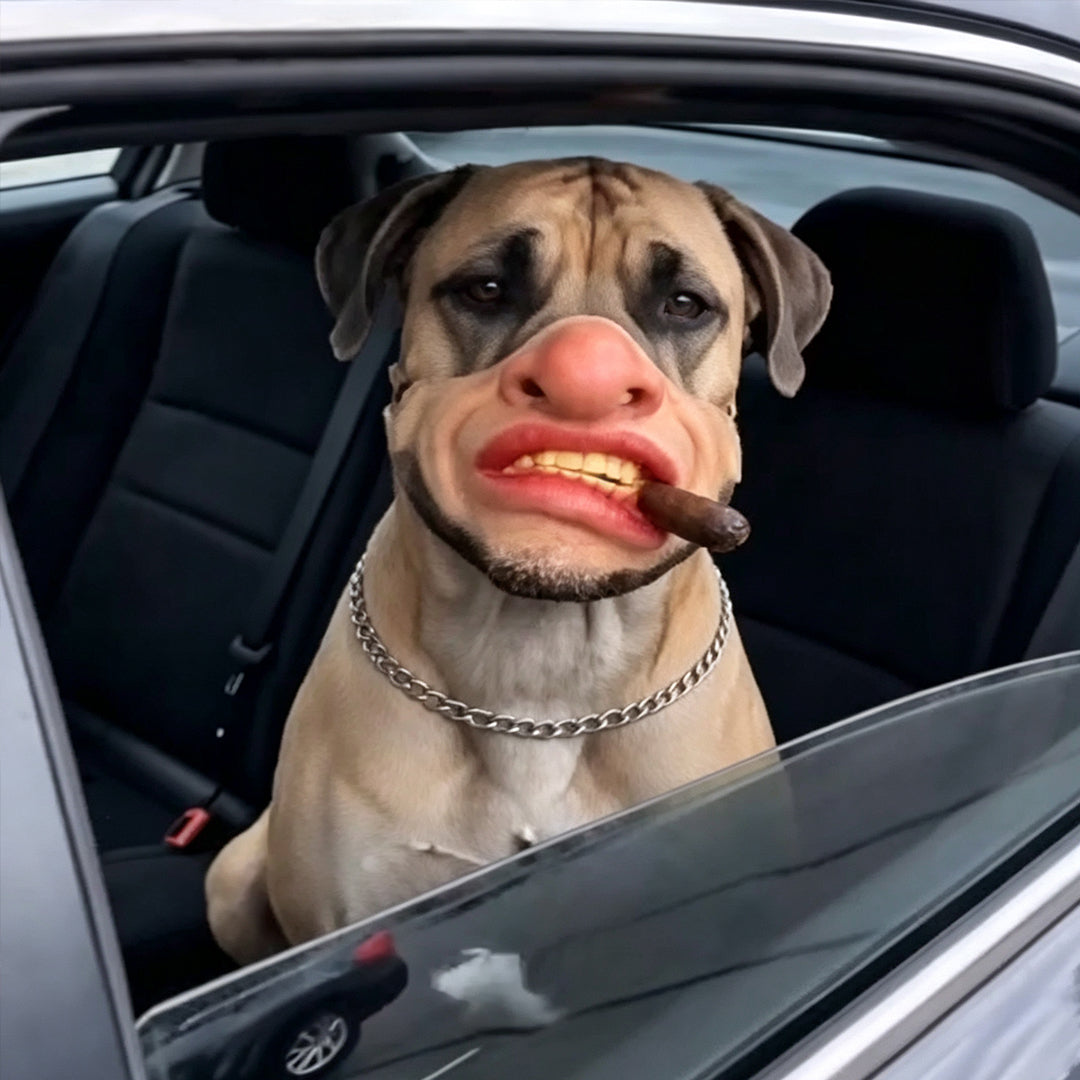 Puptailor Halloween Funny Dog Mask