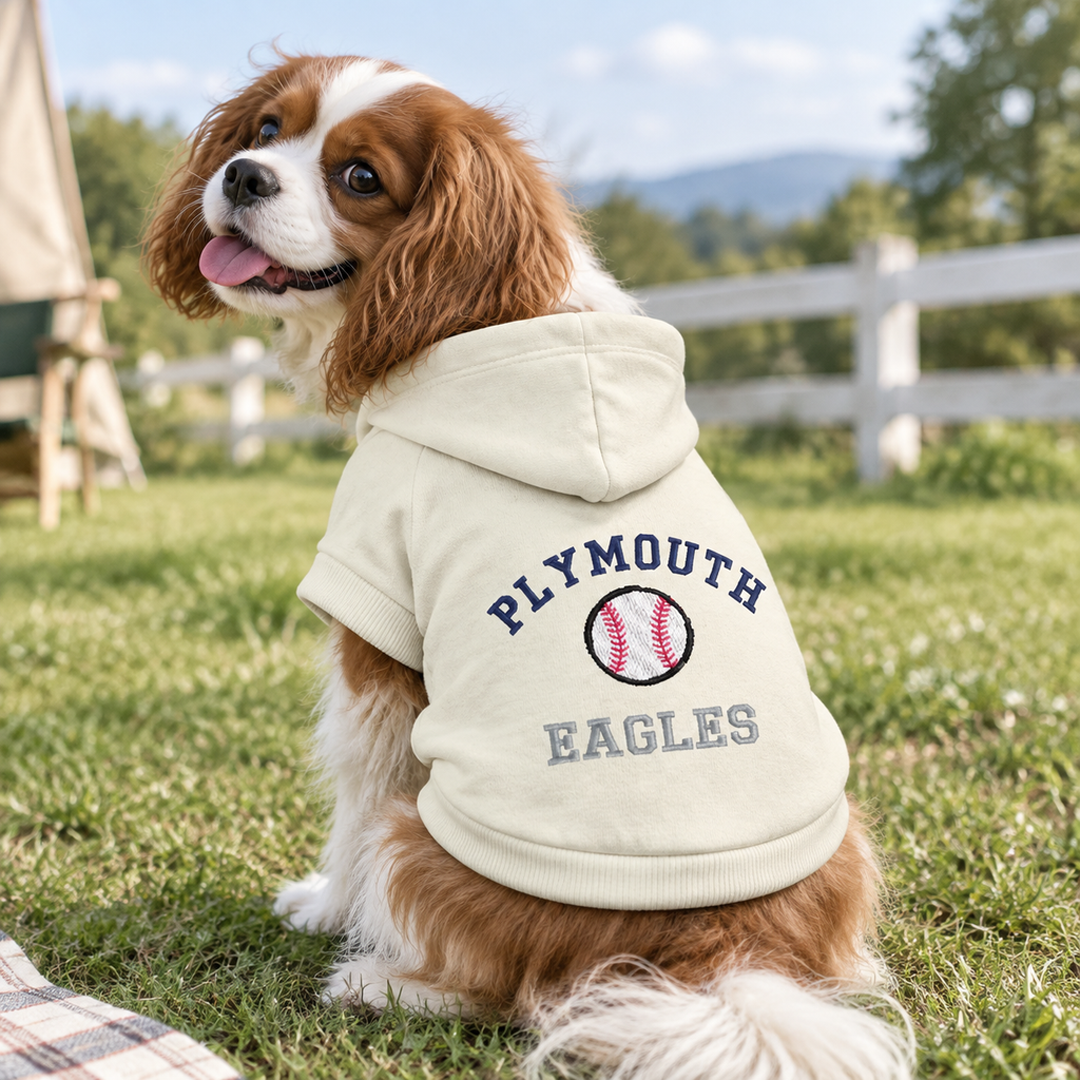 Personalized Sports Team Dog Hoodie