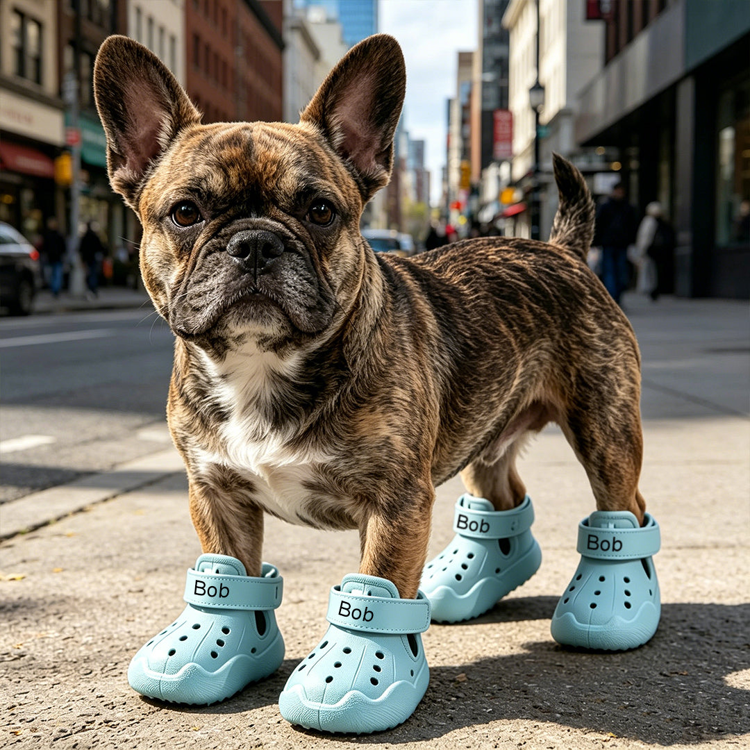 Personalized Name Dog Shoes