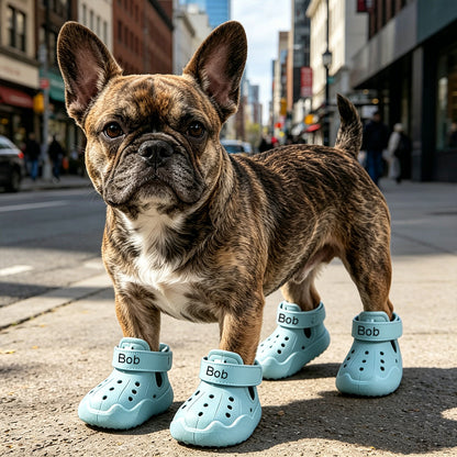 Personalized Name Dog Shoes