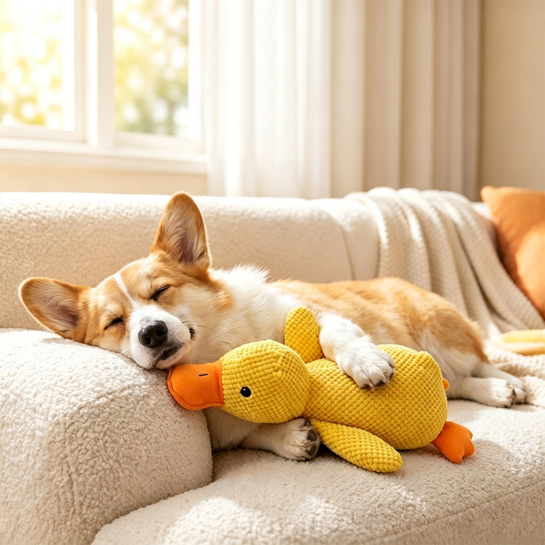 Durable, Squeaky Pet Toy for Teething and Boredom Relief