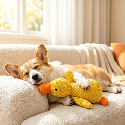 Durable, Squeaky Pet Toy for Teething and Boredom Relief