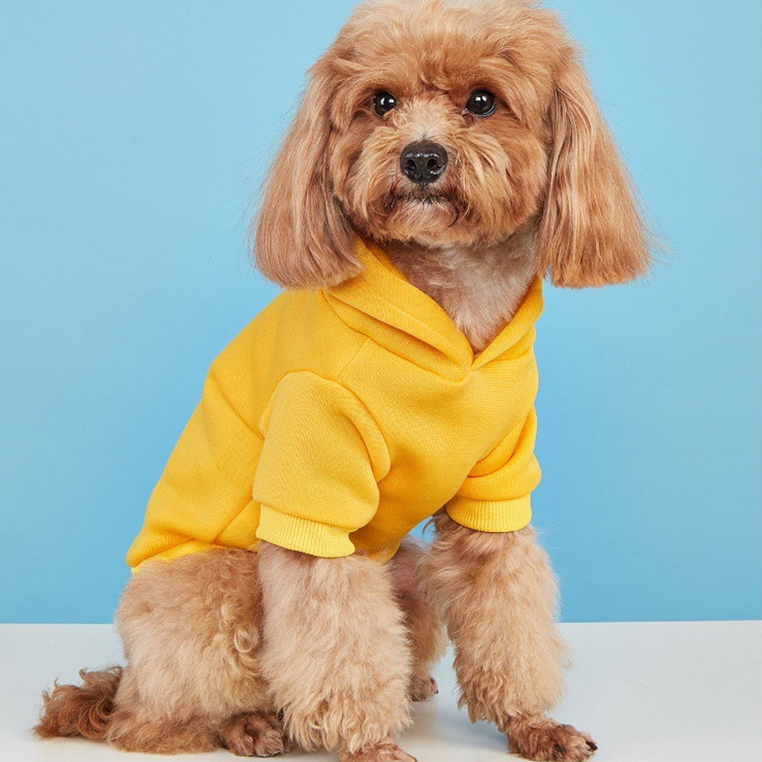 Personalized Solid-Color Warm Pet Hoodie