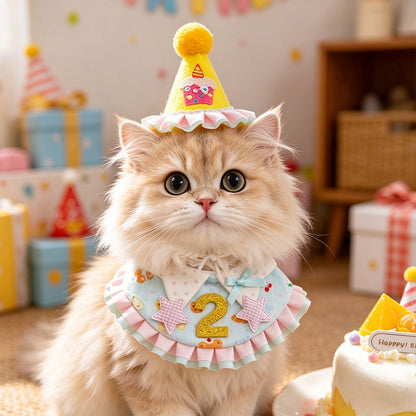 Birthday Party Hat & Number Bib Set for Pets