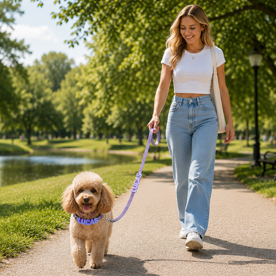 Personalized Letter Pet Leash and Collar Set
