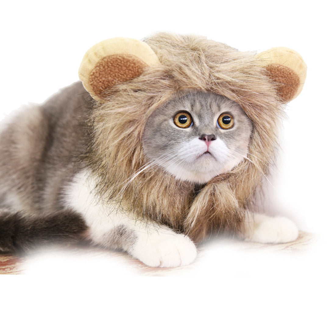 Lion Headgear for Cat, Cute Pet Headband