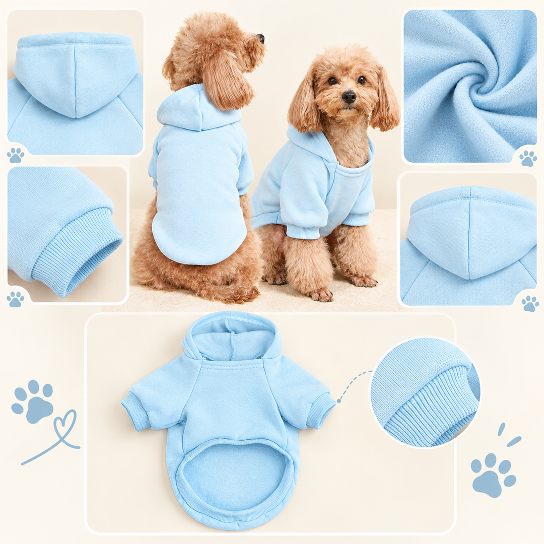 Born to Be Wild Dog Hoodie