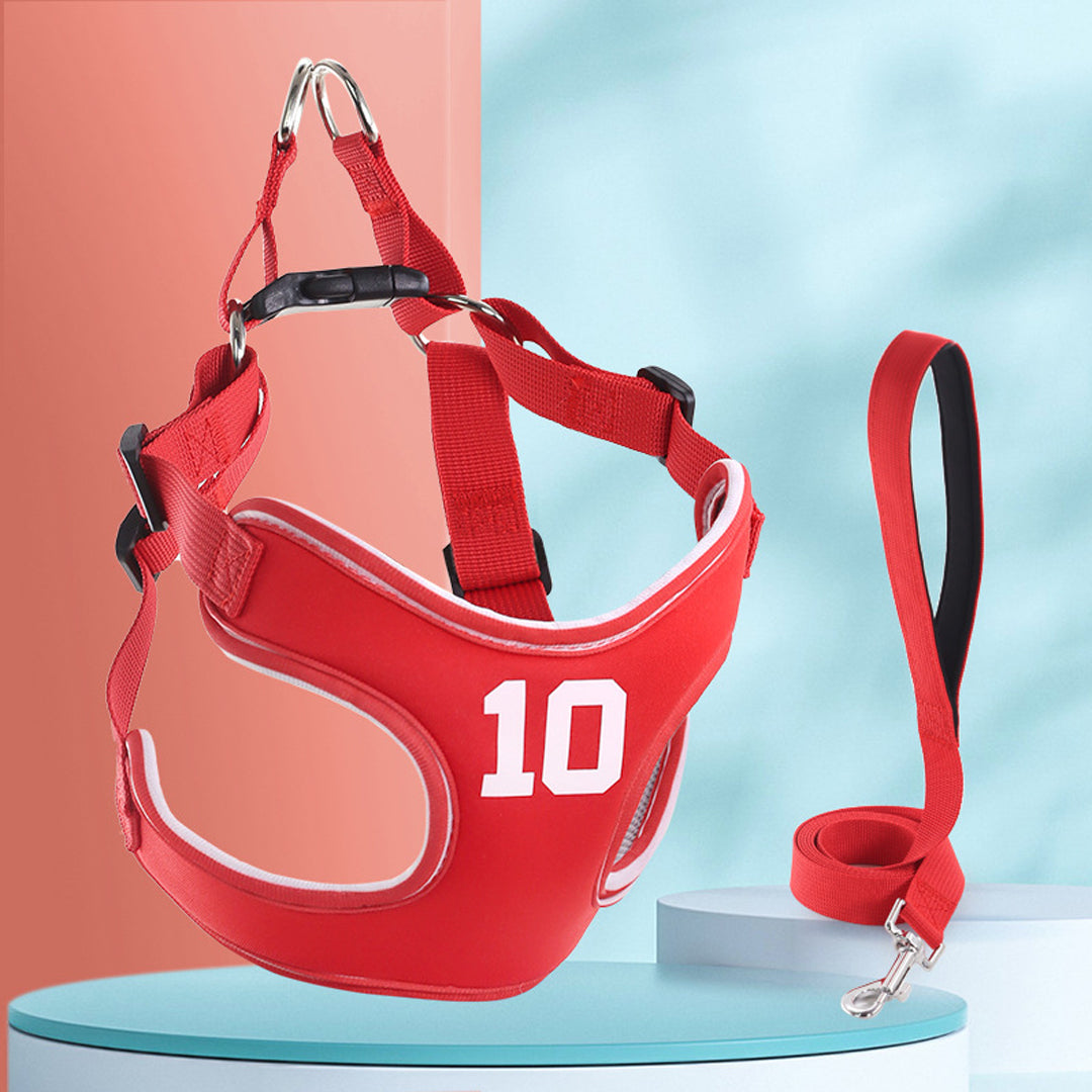 Dog Leash and Harness
