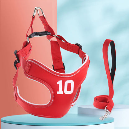 Dog Leash and Harness
