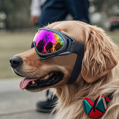 Cool and Windproof Sunglasses for Pets