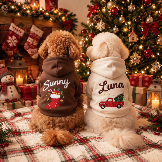 Personalized Embroidered Christmas Pet Hoodie