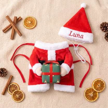 Personalized Santa Hugging Present Christmas Pet Costume Set