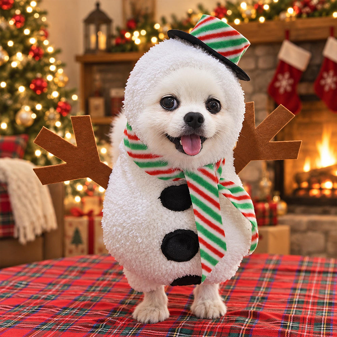 Snowman Costume for Small Dogs