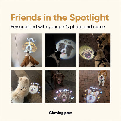 Custom Pet Projection Light for Night Walks