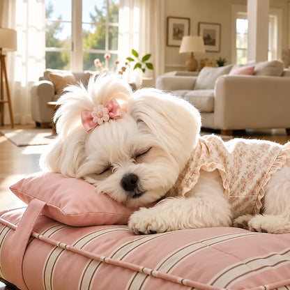 Personalized Striped Pet Bed with Pillow