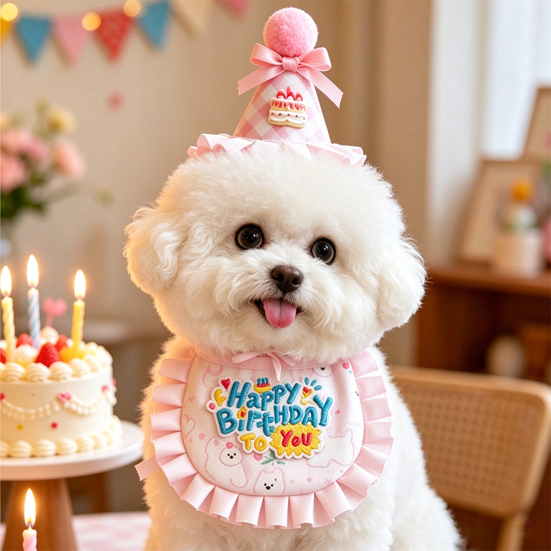 Birthday Hat & Ruffle Collar Set for Pets