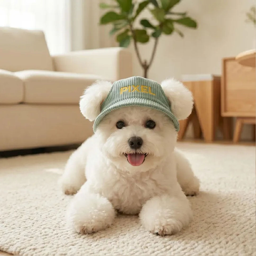 Personalized Corduroy Embroidered Pet Hat