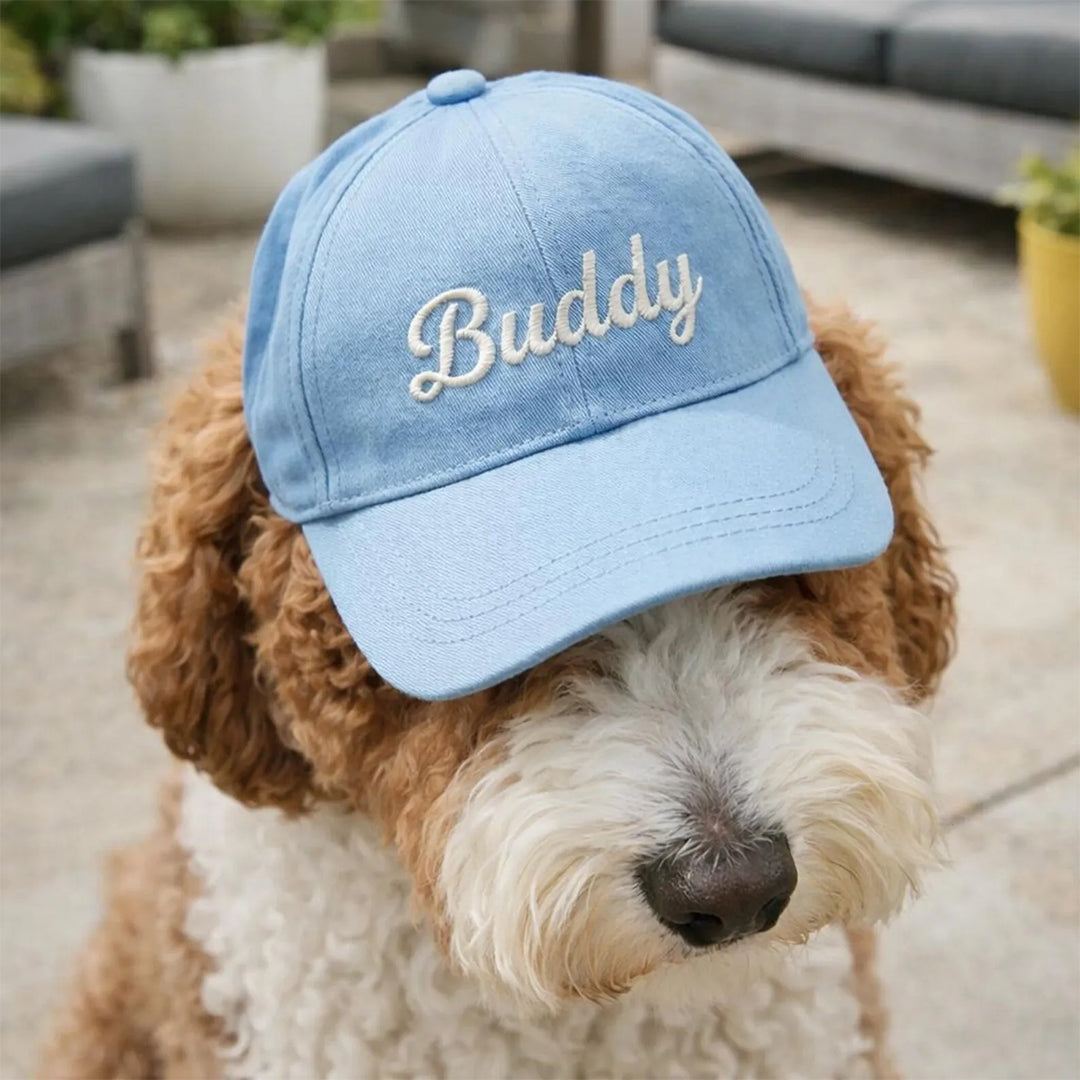 Personalized Custom Name Embroidered Outdoor Baseball Cap For Pet
