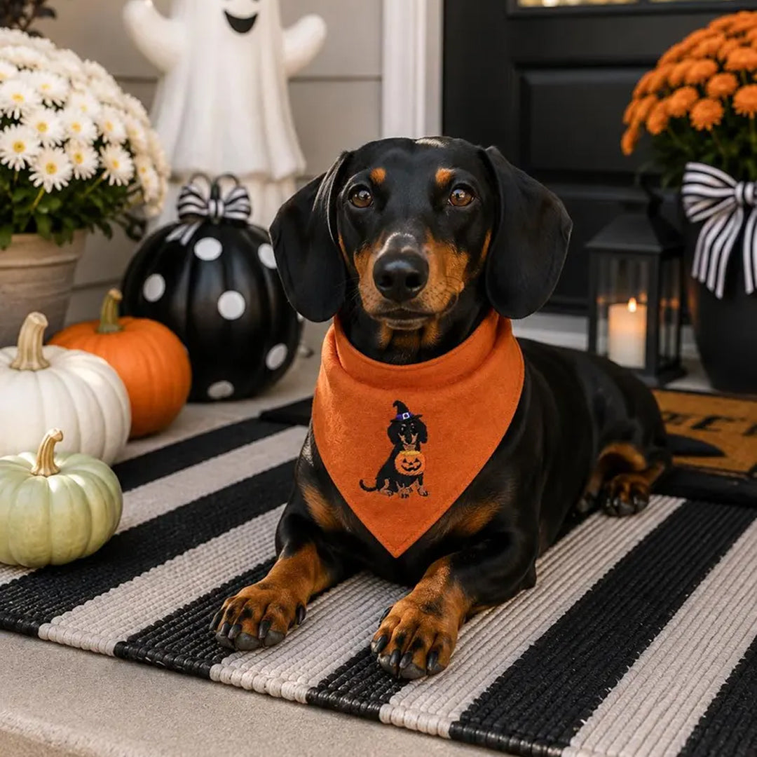 Puptailor Personalized Halloween Dog Bandana