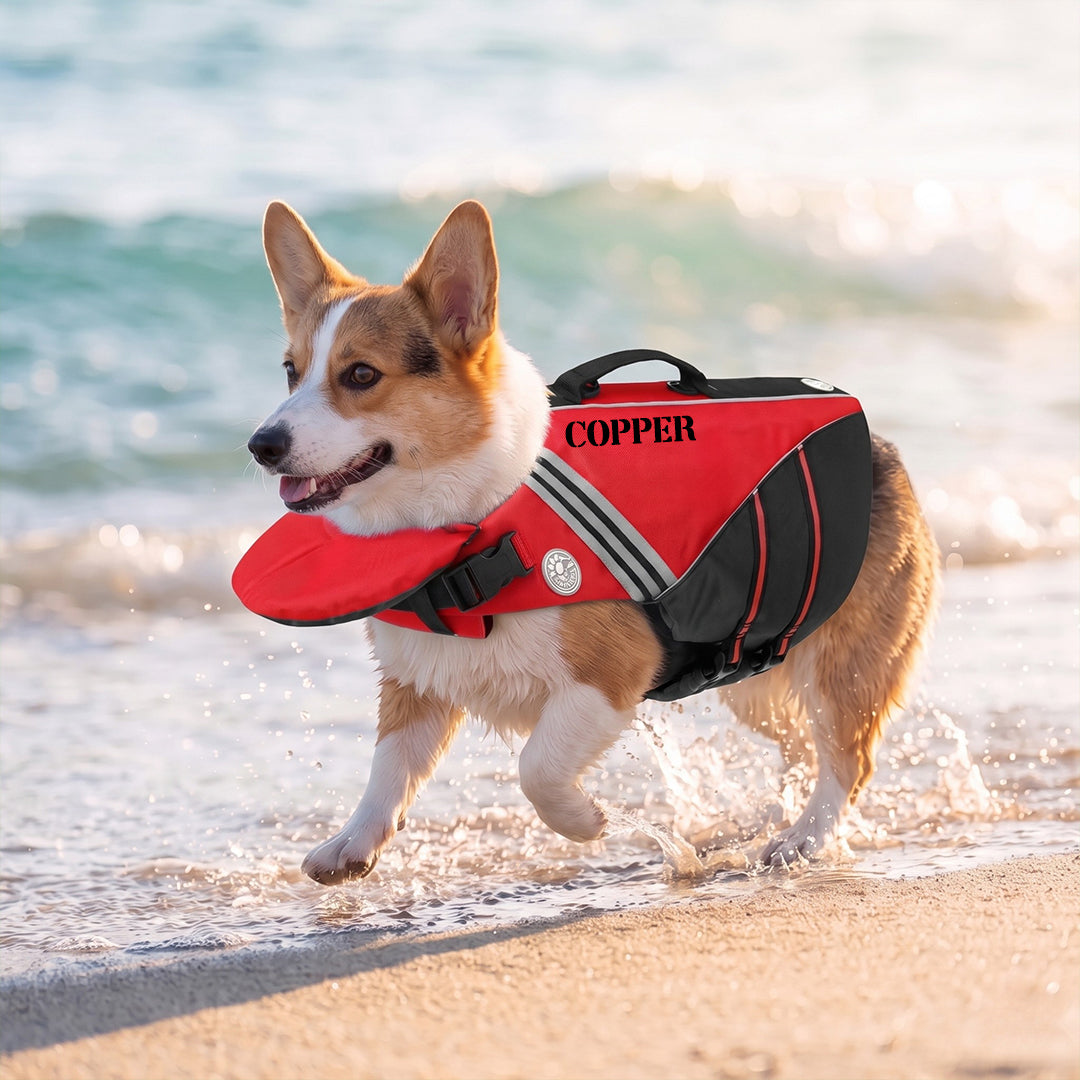 Personalized Dog Life Jacket