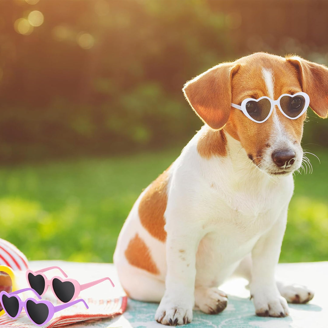 Stylish Heart-Shaped Pet Glasses