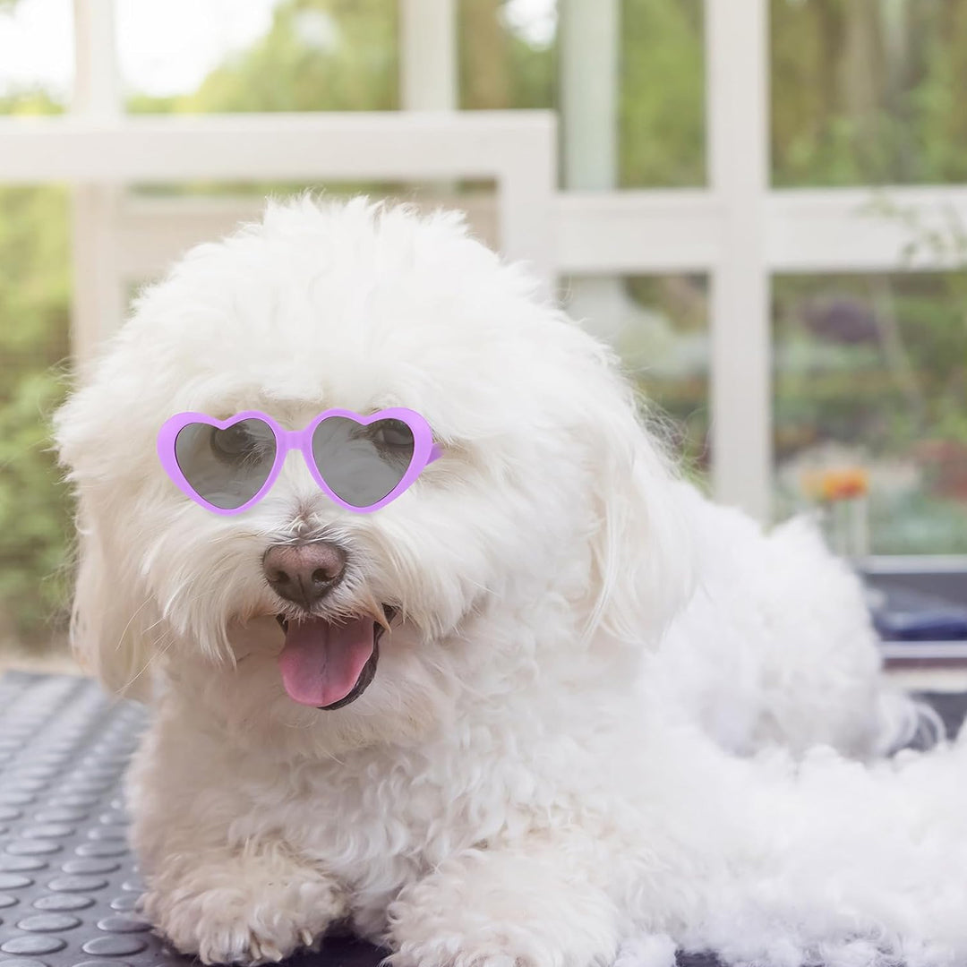 Stylish Heart-Shaped Pet Glasses