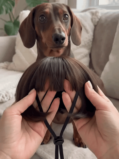 Puptailor Personalized Fun Pet Wigs for Halloween Cosplay